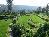 Pondok-Hotspring 23