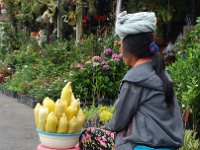Pura Ulun Danu Beratan 29