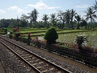 Banyuwangi 2a