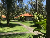 Banyuwangi 3
