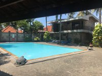 Banyuwangi 4