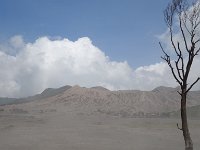 Bromo 10