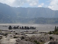 Bromo 15