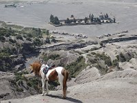 Bromo 23