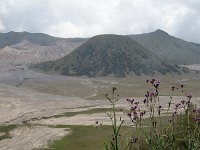 Bromo 3
