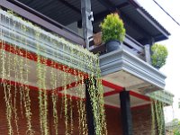 Karimunjawa 20