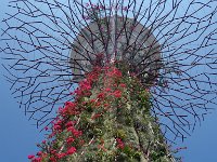 Gardens by the Bay 10