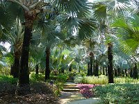 Gardens by the Bay 15
