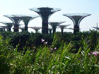 Gardens by the Bay 2
