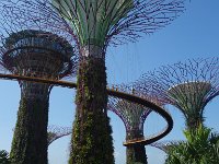Gardens by the Bay 3