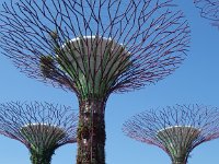 Gardens by the Bay 4