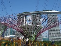 Gardens by the Bay 6