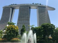 Gardens by the Bay 7