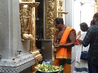 Little India2