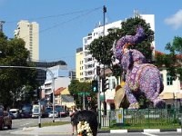 Little India6