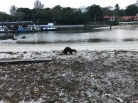 Singapur 3